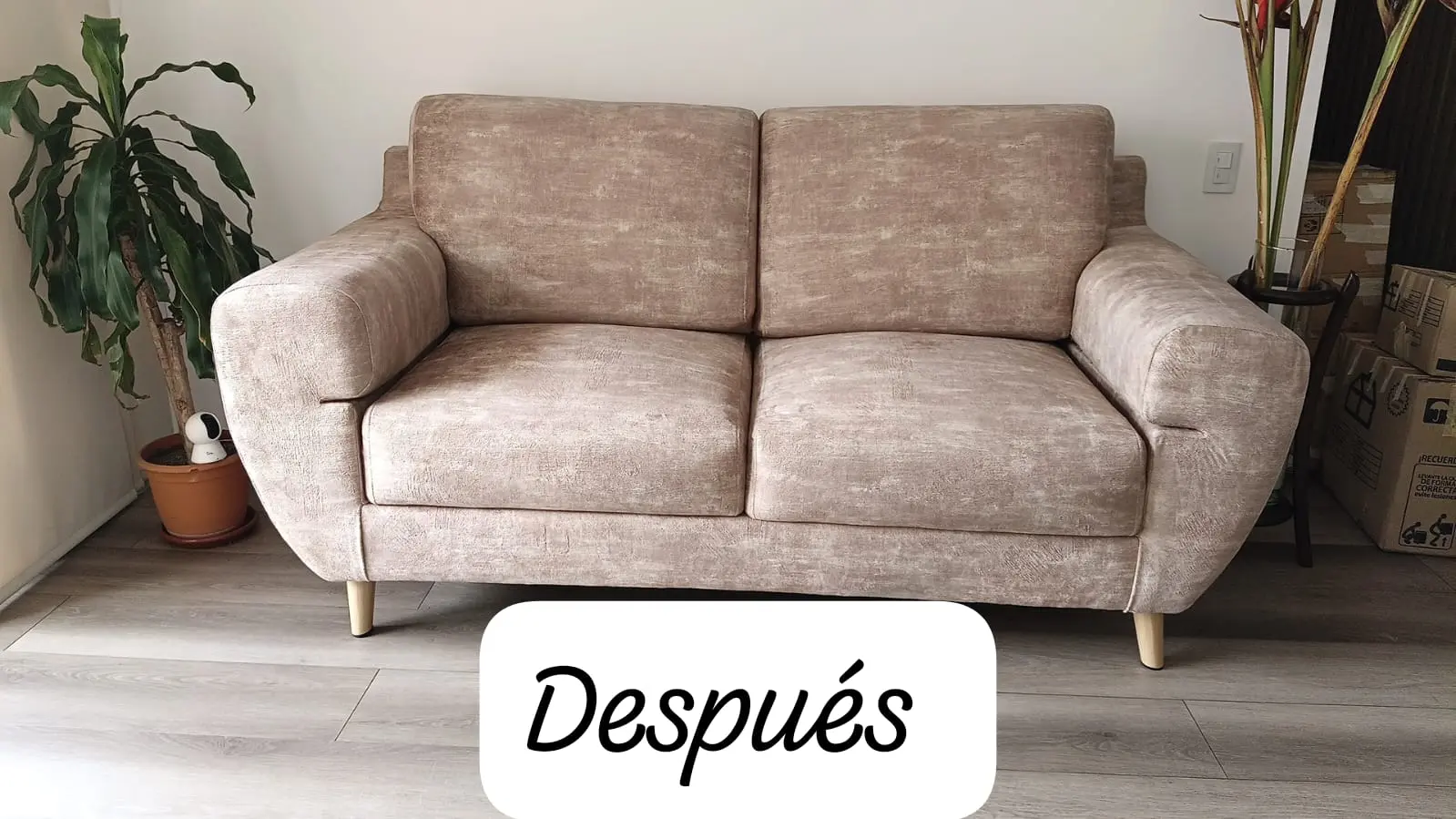 Trabajo de Tapicería de Muebles - César Agusto García